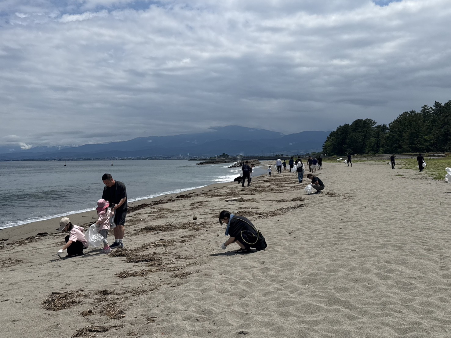 浜黒崎海岸で大人と子どもが一緒にごみ拾いをしている様子
